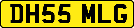 DH55MLG