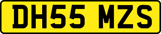 DH55MZS