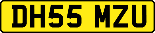 DH55MZU