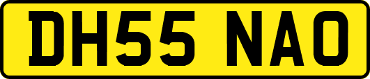 DH55NAO