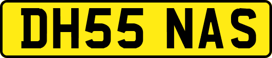DH55NAS