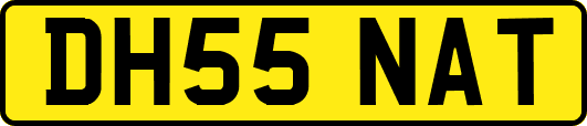 DH55NAT