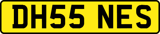 DH55NES
