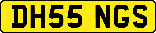 DH55NGS