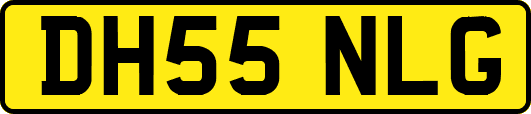 DH55NLG