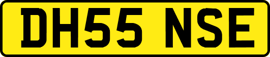 DH55NSE