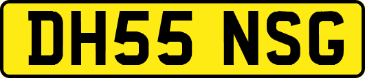 DH55NSG