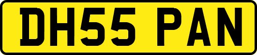 DH55PAN