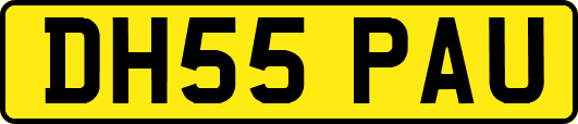 DH55PAU