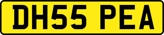 DH55PEA