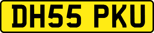 DH55PKU