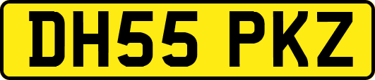DH55PKZ