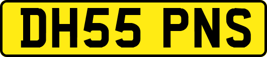 DH55PNS