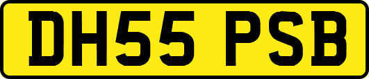 DH55PSB