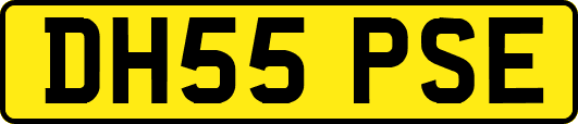 DH55PSE