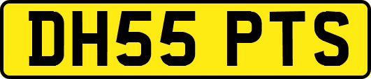 DH55PTS