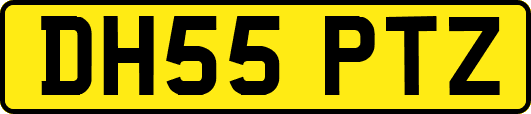 DH55PTZ