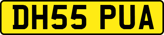 DH55PUA