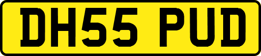 DH55PUD
