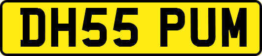 DH55PUM