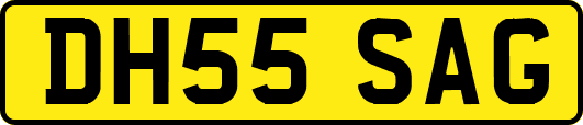 DH55SAG