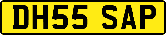 DH55SAP