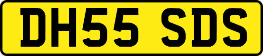 DH55SDS