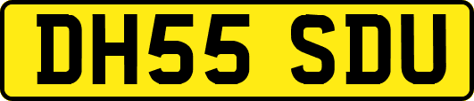 DH55SDU