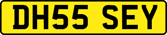 DH55SEY