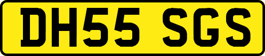 DH55SGS