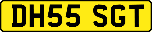 DH55SGT
