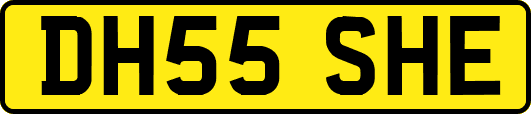 DH55SHE