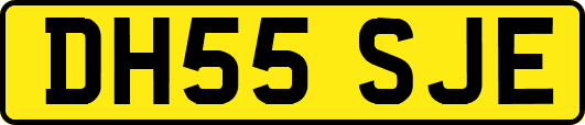 DH55SJE