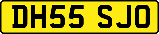 DH55SJO