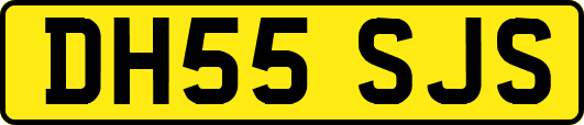 DH55SJS