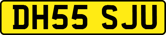 DH55SJU