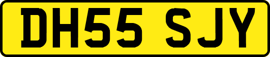 DH55SJY