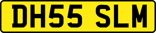 DH55SLM