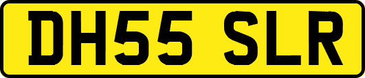 DH55SLR
