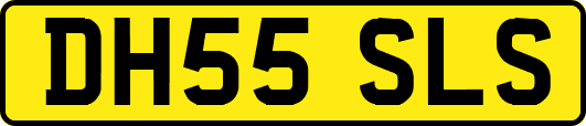 DH55SLS