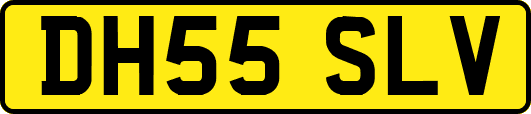 DH55SLV