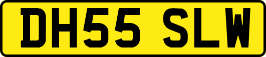 DH55SLW