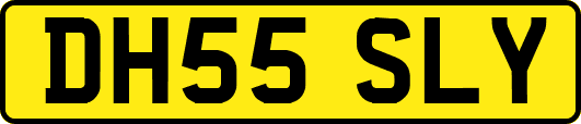 DH55SLY