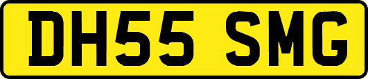 DH55SMG