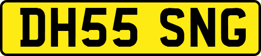 DH55SNG