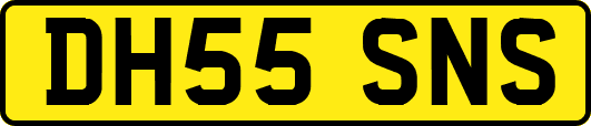 DH55SNS