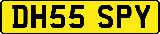 DH55SPY
