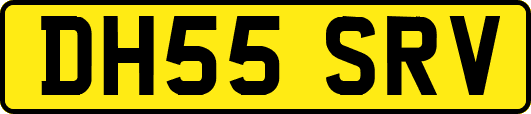 DH55SRV