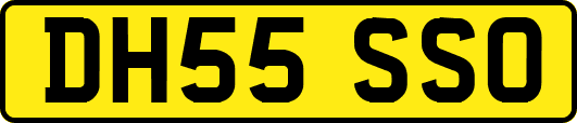 DH55SSO