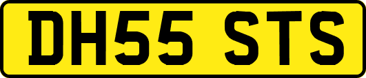 DH55STS
